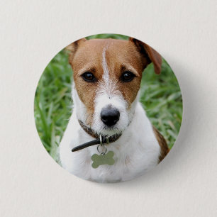 Jack Russell Terrier Button