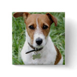 Jack Russell Terrier Button