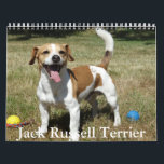 Jack Russell Terrier Calendar<br><div class="desc">A Calendar with 12 different pictures of Jack Russell Terrier</div>