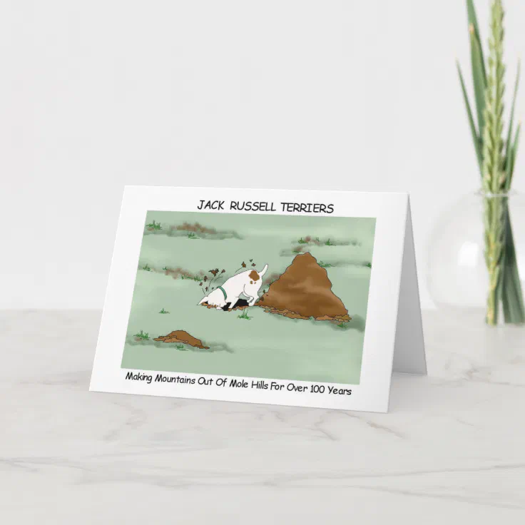 Jack Russell Terrier Card Zazzle