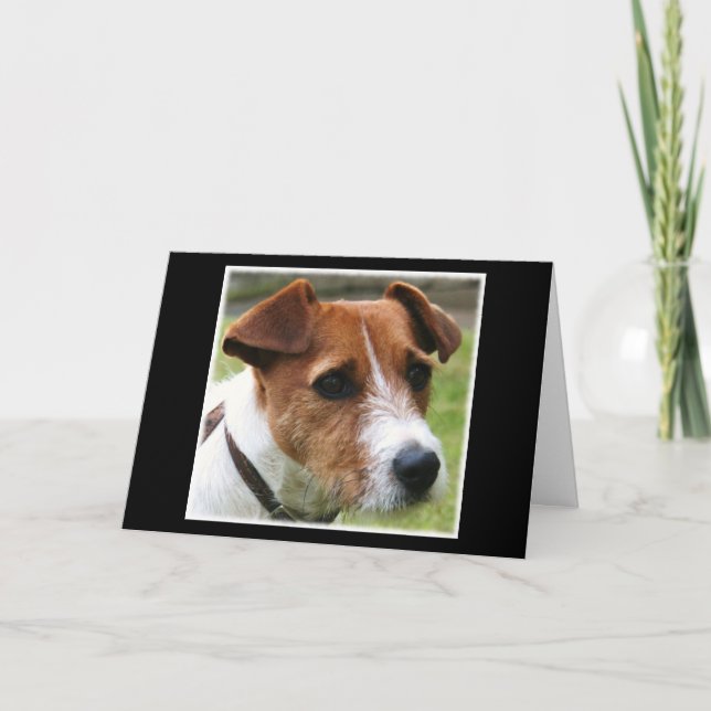 Jack Russell Terrier Card (Front)