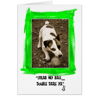 Jack Russell Terrier Cards