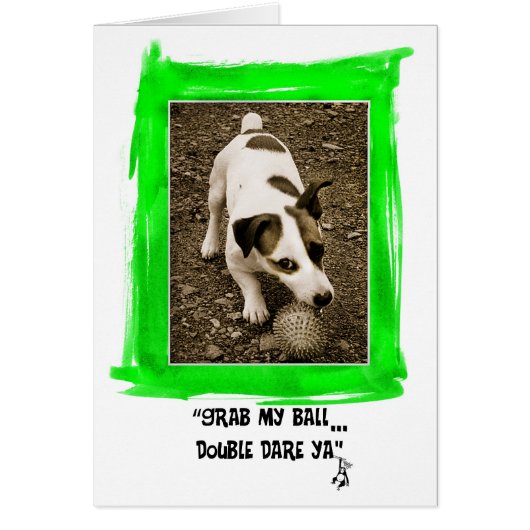 Jack Russell Terrier Cards (Front)