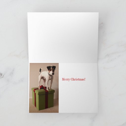 Jack Russell Terrier Christmas Card Zazzle