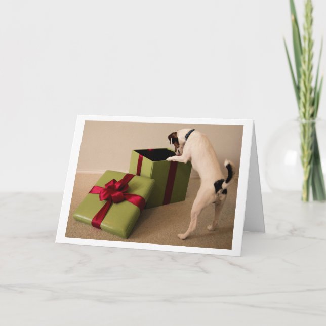 Jack Russell Terrier Christmas Card (Front)