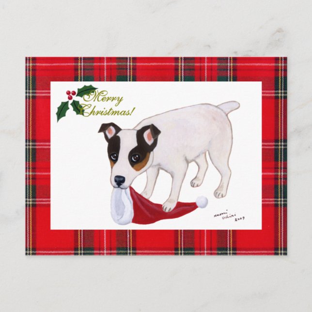 Jack Russell Terrier Christmas Tartan Holiday Postcard (Front)