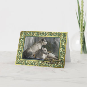 Jack Russell Terrier Dog Blank Christmas Card