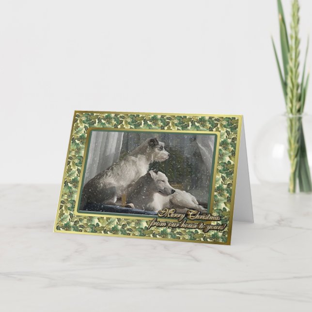 Jack Russell Terrier Dog Blank Christmas Card (Front)