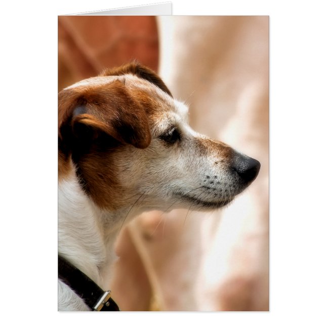 JACK RUSSELL TERRIER DOG CARD (Front)