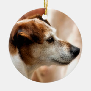 JACK RUSSELL TERRIER DOG CERAMIC ORNAMENT