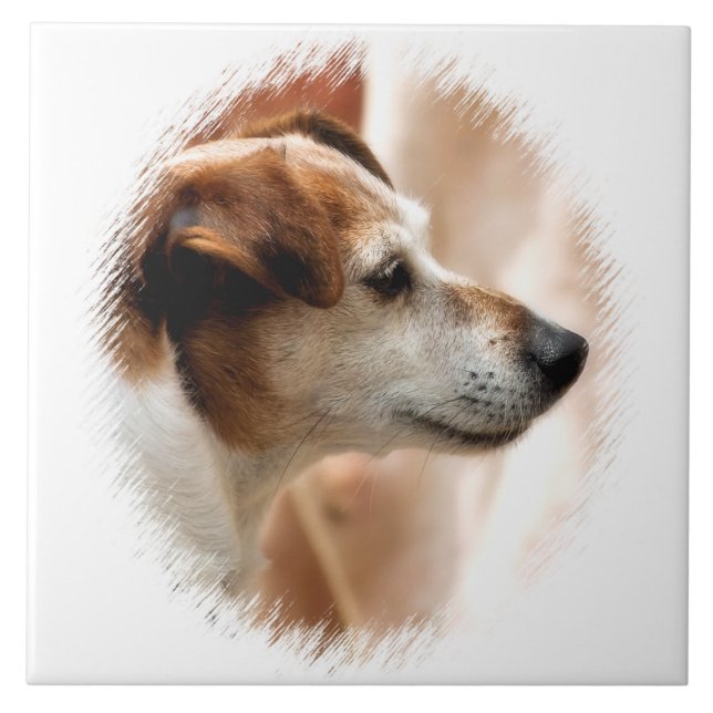 JACK RUSSELL TERRIER DOG CERAMIC TILE (Front)