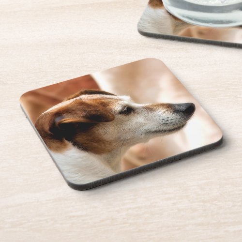 JACK RUSSELL TERRIER DOG DRINK COASTER