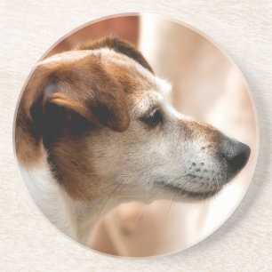 JACK RUSSELL TERRIER DOG DRINK COASTER