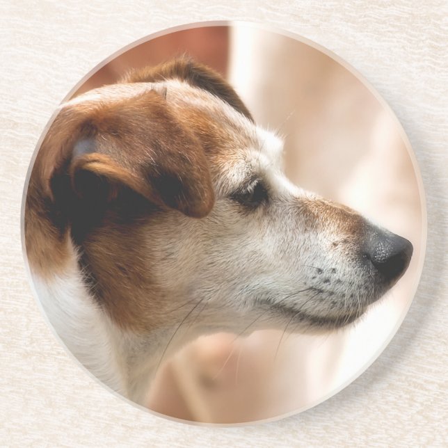 JACK RUSSELL TERRIER DOG DRINK COASTER (Front)