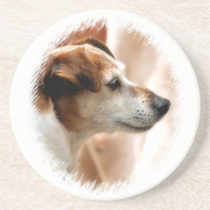 JACK RUSSELL TERRIER DOG DRINK COASTER