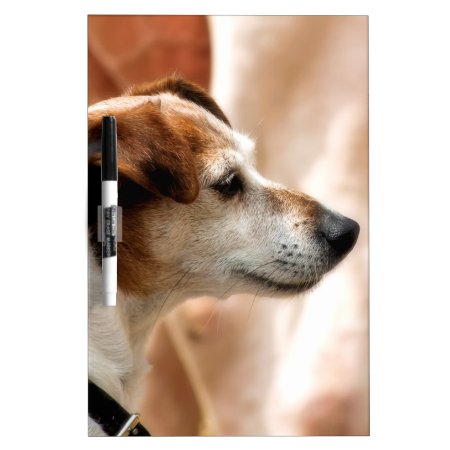 Jack Russell Terrier Dog Dry-erase Board