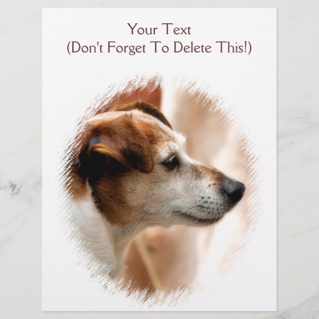 JACK RUSSELL TERRIER DOG FLYER (Front)