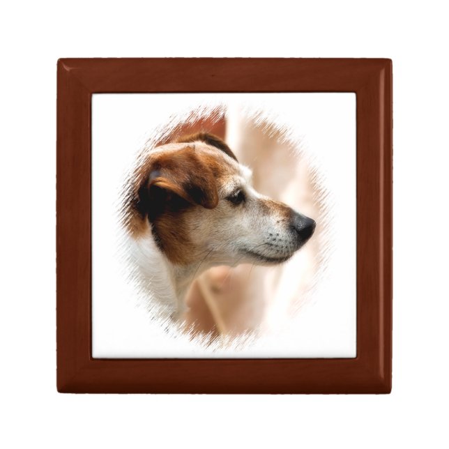 JACK RUSSELL TERRIER DOG GIFT BOX (Front)