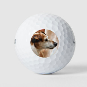 JACK RUSSELL TERRIER DOG GOLF BALLS