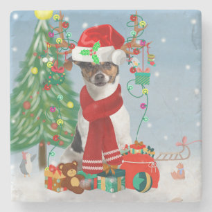 Jack Russell Terrier Dog in Snow Christmas Gifts Stone Coaster