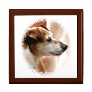 JACK RUSSELL TERRIER DOG JEWELRY BOX