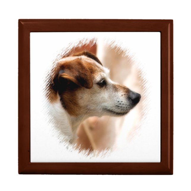 JACK RUSSELL TERRIER DOG JEWELRY BOX (Front)