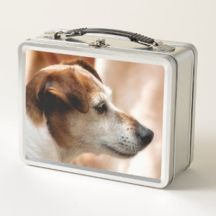 JACK RUSSELL TERRIER DOG METAL LUNCH BOX