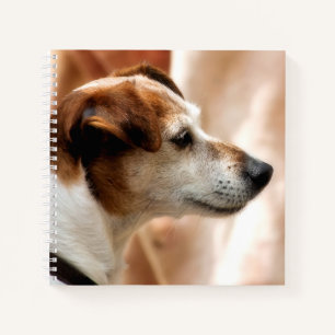 JACK RUSSELL TERRIER DOG NOTEBOOK