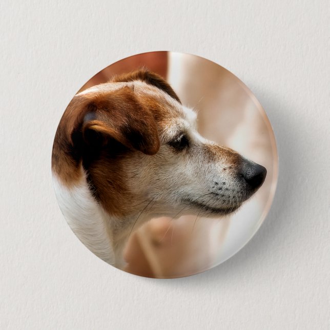 JACK RUSSELL TERRIER DOG PINBACK BUTTON (Front)