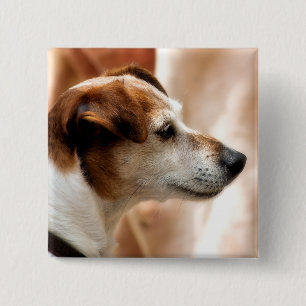 JACK RUSSELL TERRIER DOG PINBACK BUTTON