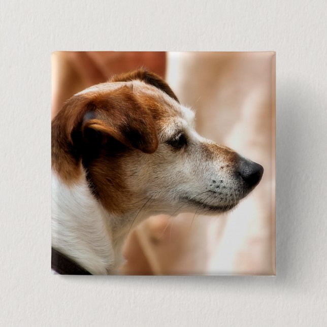 JACK RUSSELL TERRIER DOG PINBACK BUTTON (Front)