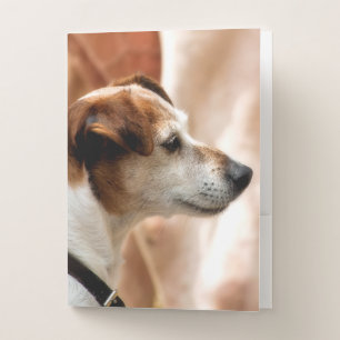 JACK RUSSELL TERRIER DOG POCKET FOLDER