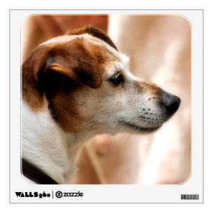 JACK RUSSELL TERRIER DOG WALL STICKER