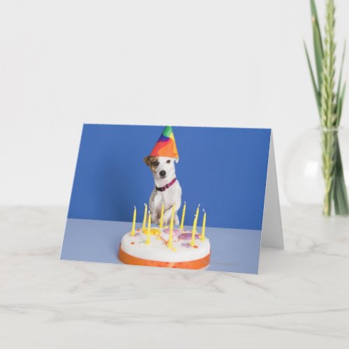 Jack Russell Terrier dog wearing party hat Card