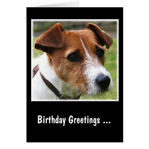 New 90 Jack Russell Anniversary Card