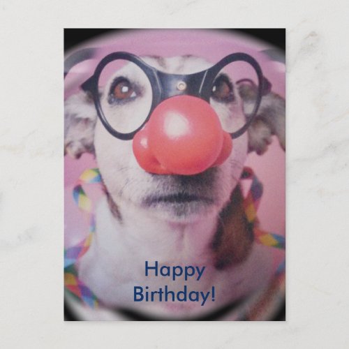 Jack Russell Terrier Happy Birthday Crazy Clown Postcard