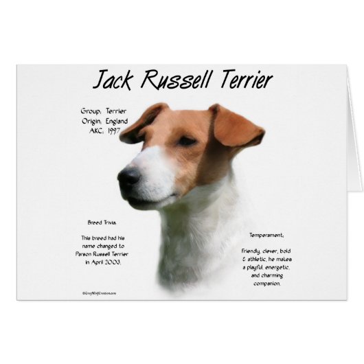 Jack Russell Terrier History  Cards (Front Horizontal)