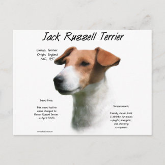 Jack Russell Terrier History Postcard