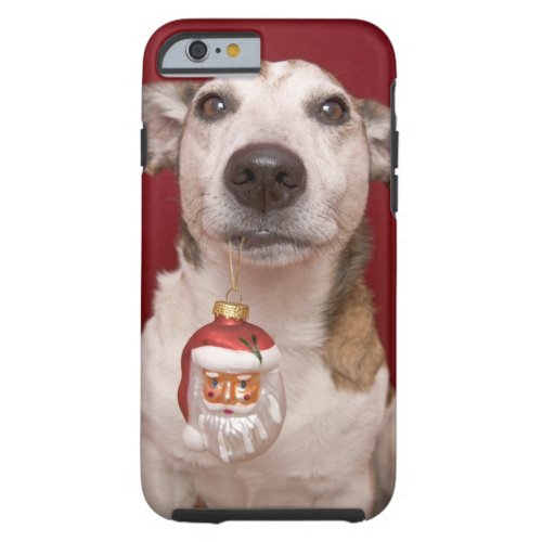 Jack Russell Terrier Holding Christmas Ornament Tough iPhone 6 Case