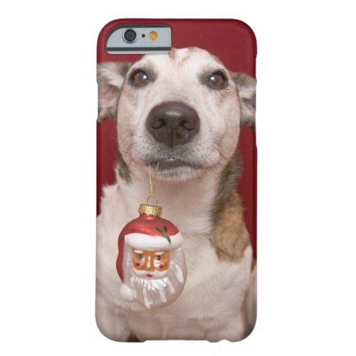 Jack Russell Terrier Holding Christmas Ornament Barely There iPhone 6 Case