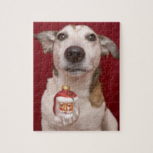 Jack Russell Terrier Holding Christmas Ornament Jigsaw Puzzle