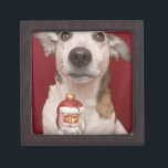 Jack Russell Terrier Holding Christmas Ornament Keepsake Box<br><div class="desc">ImageID: 42-19193497 / Ursula Klawitter / Corbis / Jack Russell Terrier Holding Christmas Ornament /</div>