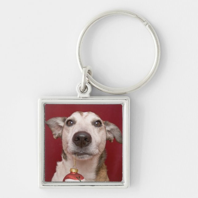 Jack Russell Terrier Holding Christmas Ornament Keychain (Front)