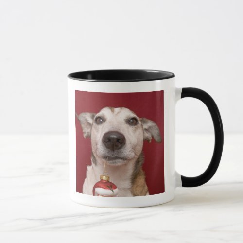 Jack Russell Terrier Holding Christmas Ornament Mug