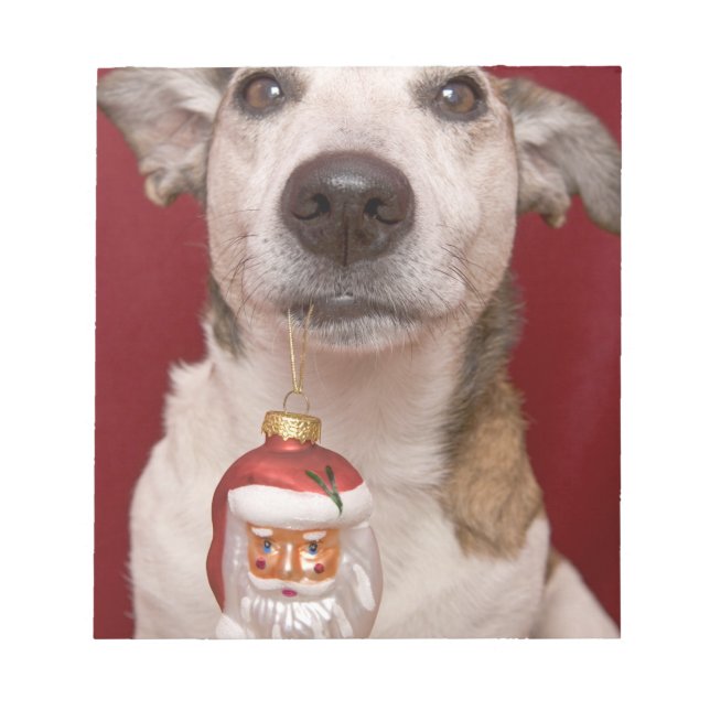 Jack Russell Terrier Holding Christmas Ornament Notepad (Front)