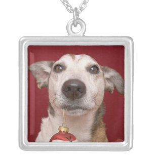 Jack Russell Terrier Holding Christmas Ornament Silver Plated Necklace