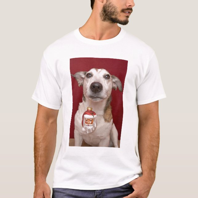 Jack Russell Terrier Holding Christmas Ornament T-Shirt (Front)