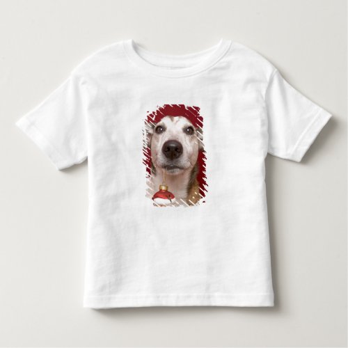 Jack Russell Terrier Holding Christmas Ornament Toddler T_shirt