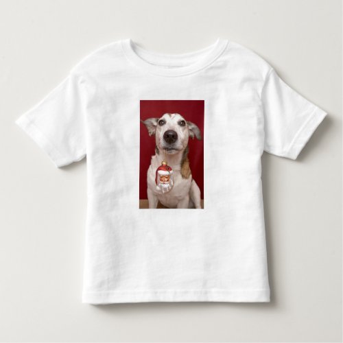 Jack Russell Terrier Holding Christmas Ornament Toddler T_shirt