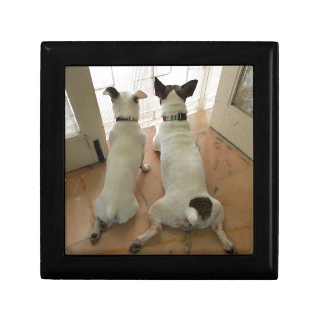 Jack Russell Terrier Jewelry Box (Front)